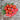 Rutgers Tomato (73 Days) - Vegetables