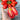 San Marzano Tomato (Heirloom 82 Days) - Vegetables