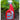 Red spray bottle labeled of Squirrel Stopper repellent with a healthy garden background.