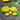 Sunburst Scallop Summer Squash (F1 Hybrid 50 Days) - Vegetables