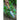 Tierra Garden Transplanter - Garden Supplies