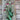 Virichic Tulip - Fall