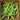 Volunteer Half Runner (60 Days) - Vegetables