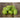 West India Gherkin Cucumber (Heirloom 65 days) - Vegetables