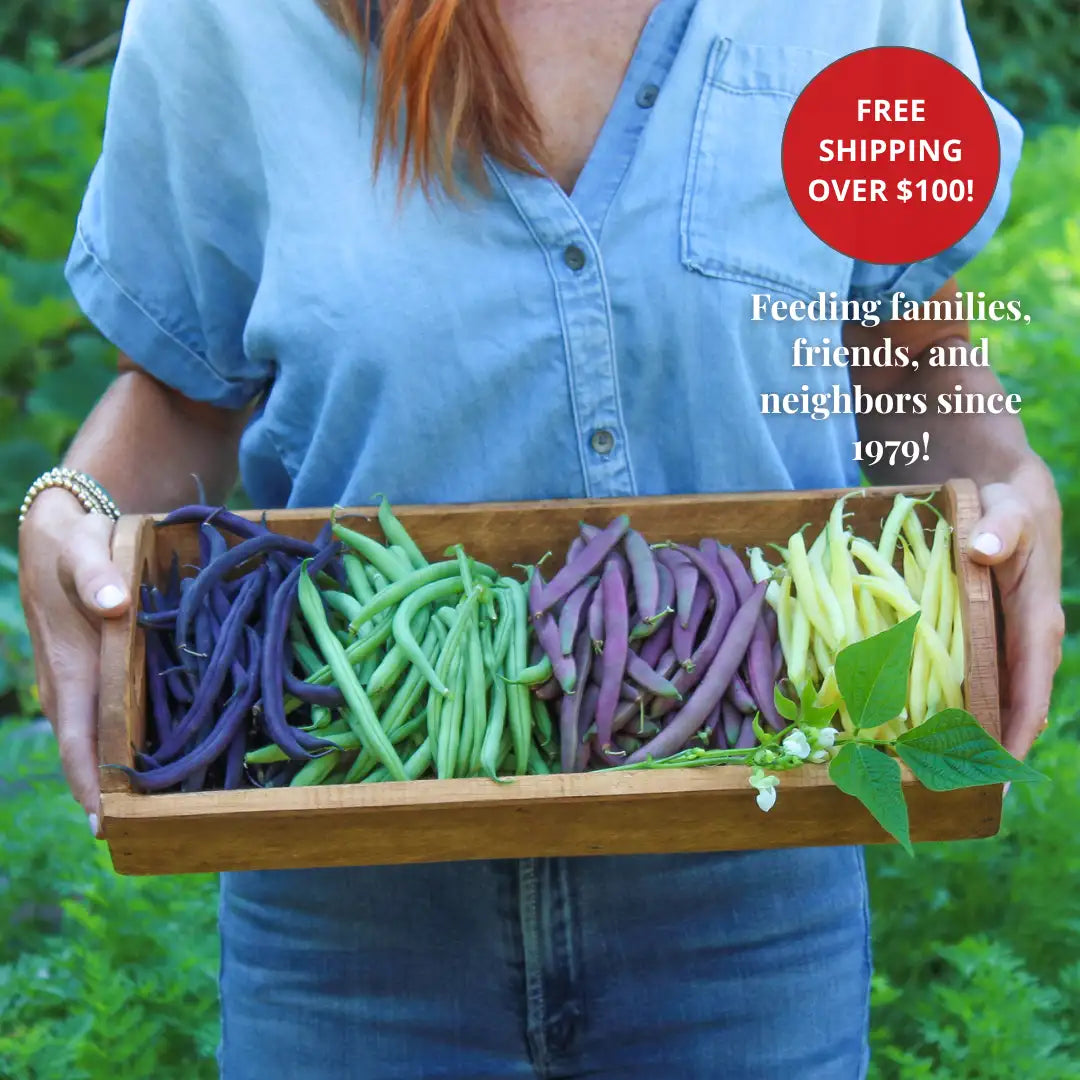 Wooden tray filled with colorful string beans, including green and purple varieties.