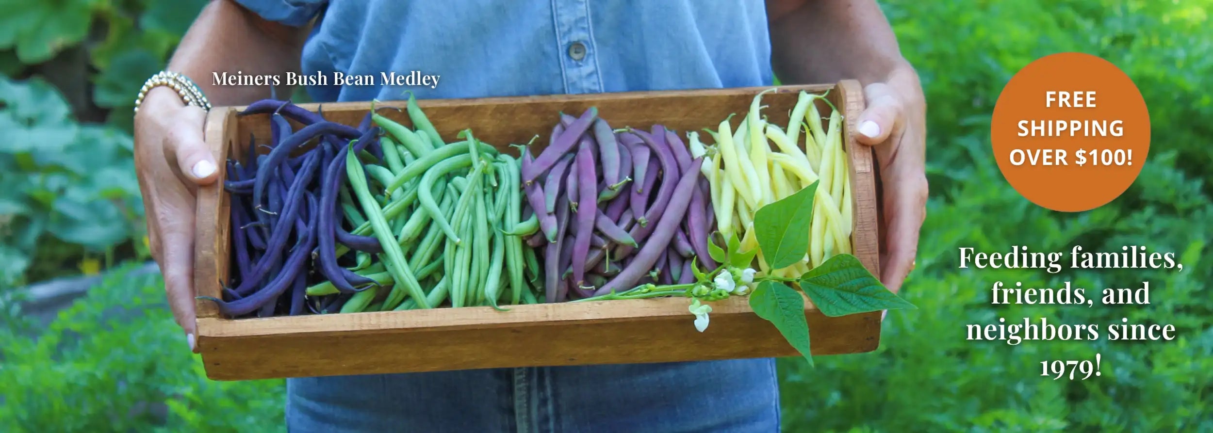 Person holding a wooden tray with green and purple beans against a natural background