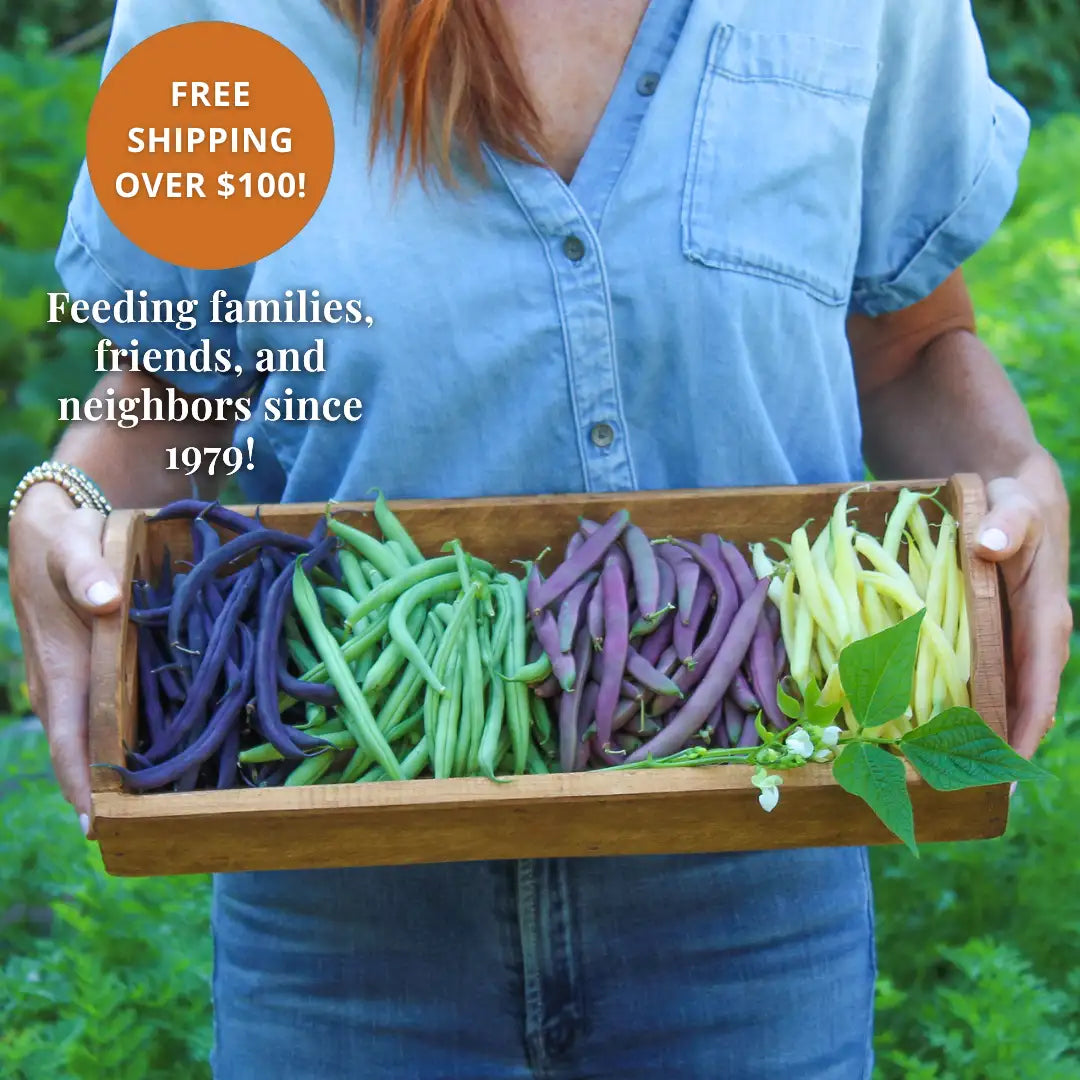 A wooden tray filled with vibrant purple, green, and yellow string beans.