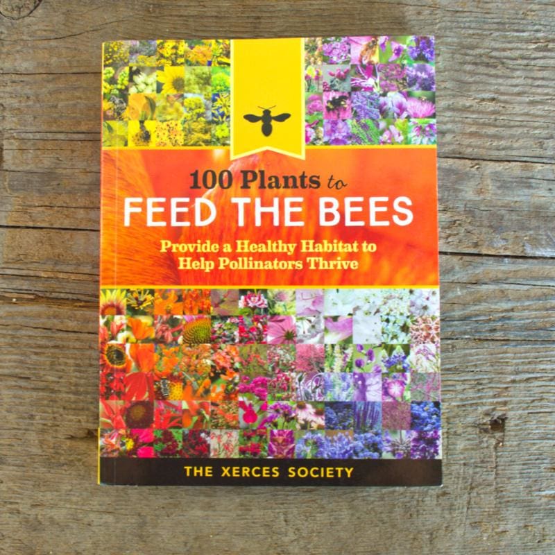 bee friendly plant seeds 100 Plants to Feed the Bees – Pinetree Garden Seeds