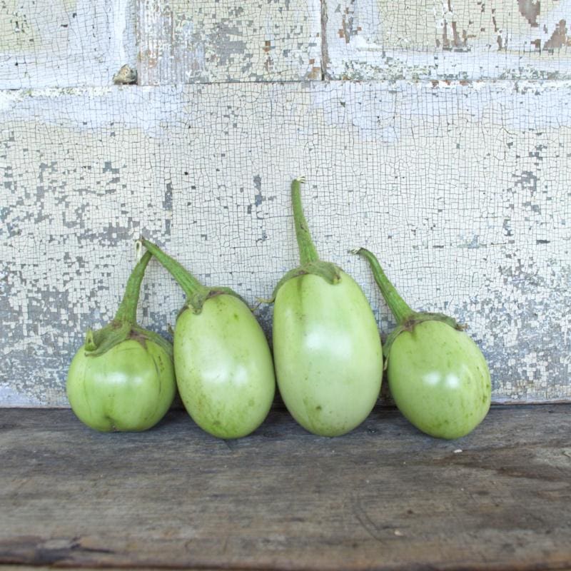Apple Green Eggplant (70 Days) - Vegetables
