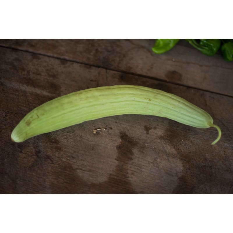 Armenian Cucumber (Heirloom 90 Days) - Vegetables