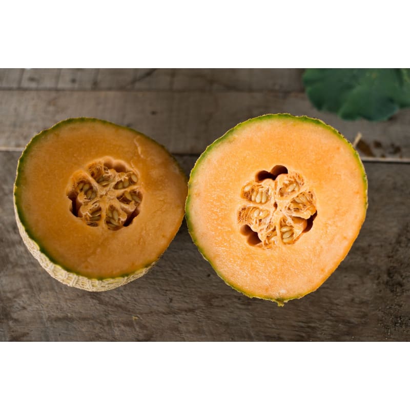 Athena Melon (F1 Hybrid 75 Days) - Vegetables