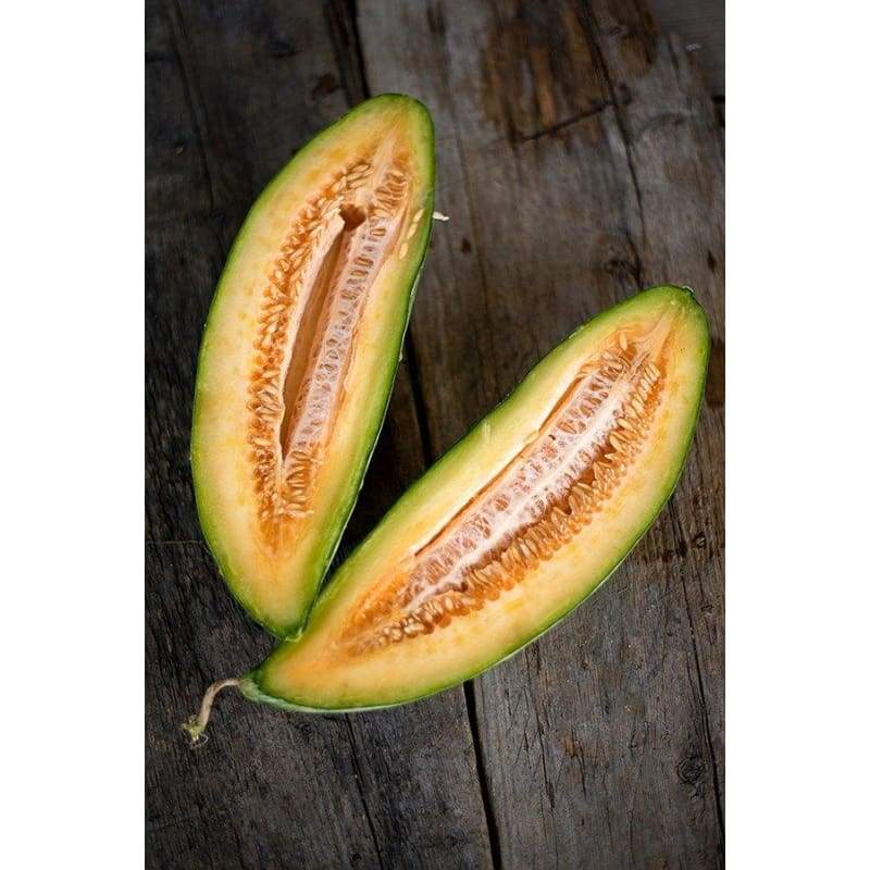 Banana Melon (Heirloom 80 Days) - Vegetables