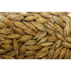 Barley Cover Crop - Cover Crops
