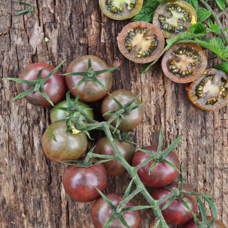 Black Cherry Tomato (Organic 80 Days) - Vegetables