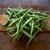 Blue Lake 274 Bush Bean (53 Days) - Vegetables