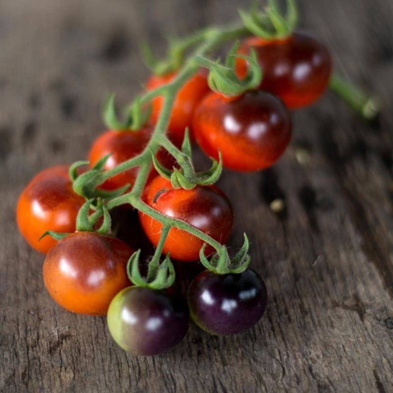 Blueberries Tomato (Organic 85 Days) - Vegetables
