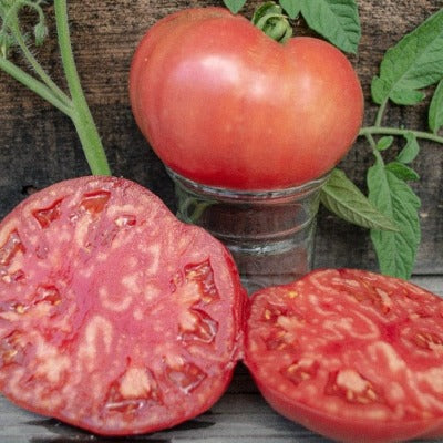BlushingStar Tomato (F1 Hybrid 70-75 Days) - Vegetables