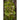Bronze Mignonette Lettuce (53 Days) - Vegetables