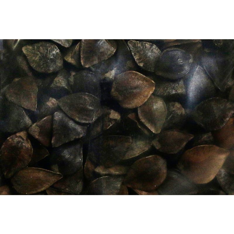 buckwheat seeds for planting Buckwheat