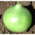 Bushel Gourd (120 Days) - Vegetables