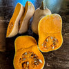 Butterbaby Butternut Winter Squash (F1 Hybrid 100 Days) - Vegetables