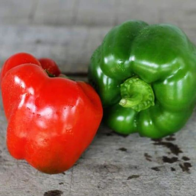 California Wonder Pepper (75 Days) - Vegetables