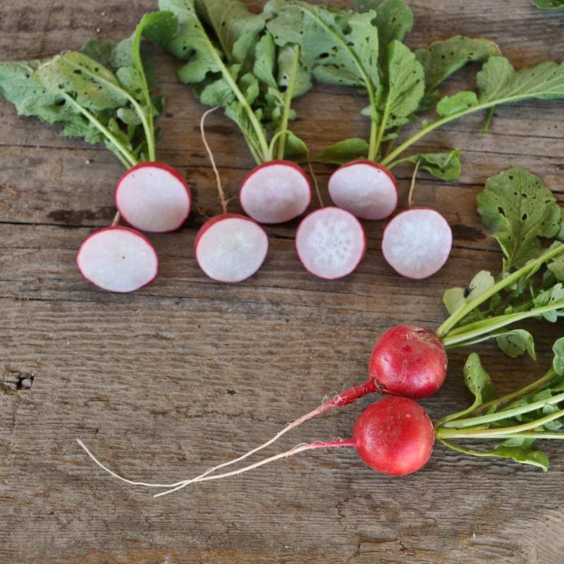 Cherriette Radish (F1 Hybrid 26 Days) - Vegetables