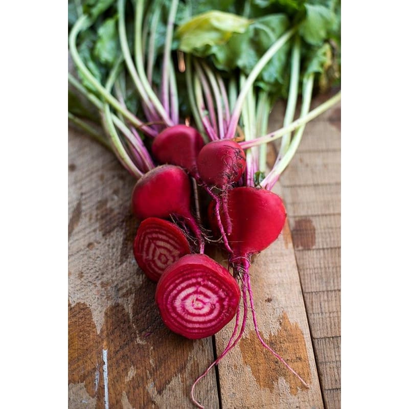 Chioggia Beet (Heirloom 55 Days) - Vegetables