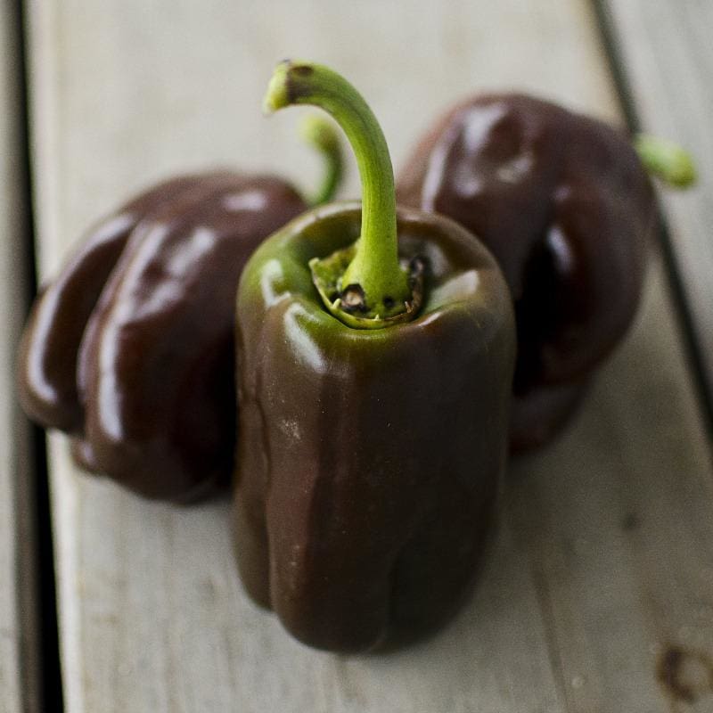 Chocolate Beauty Pepper (74 Days) - Vegetables