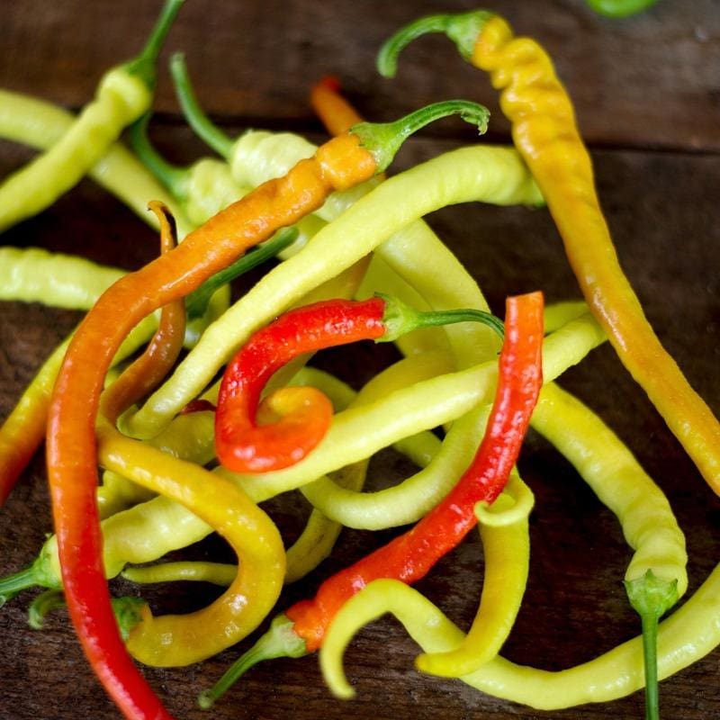 Corbaci Pepper (Heirloom 75 Days) - Vegetables