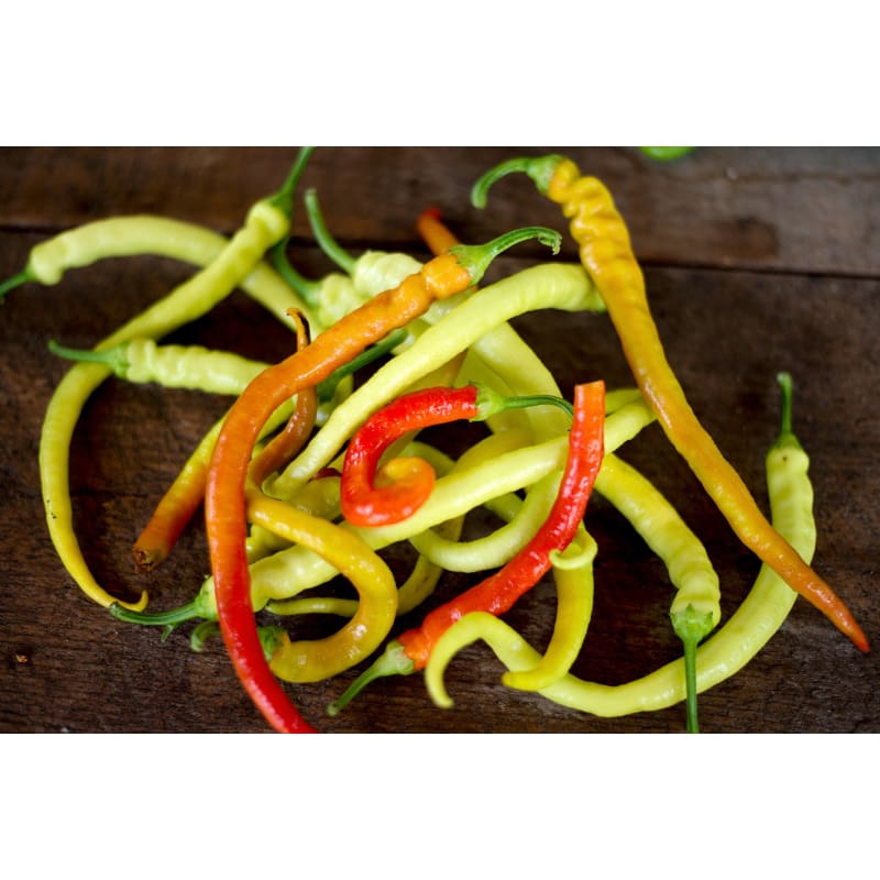Corbaci Pepper (Heirloom 75 Days) - Vegetables