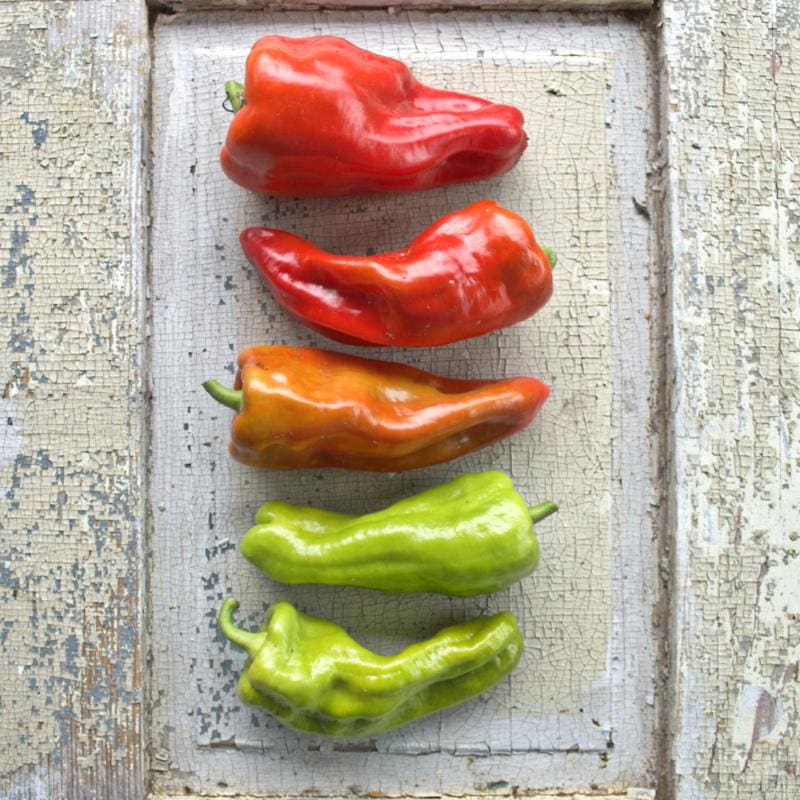 Cubanelle Pepper (65 Days) - Vegetables
