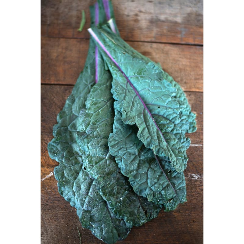 Dazzling Blue Kale (Organic 50-60 Days) - Vegetables