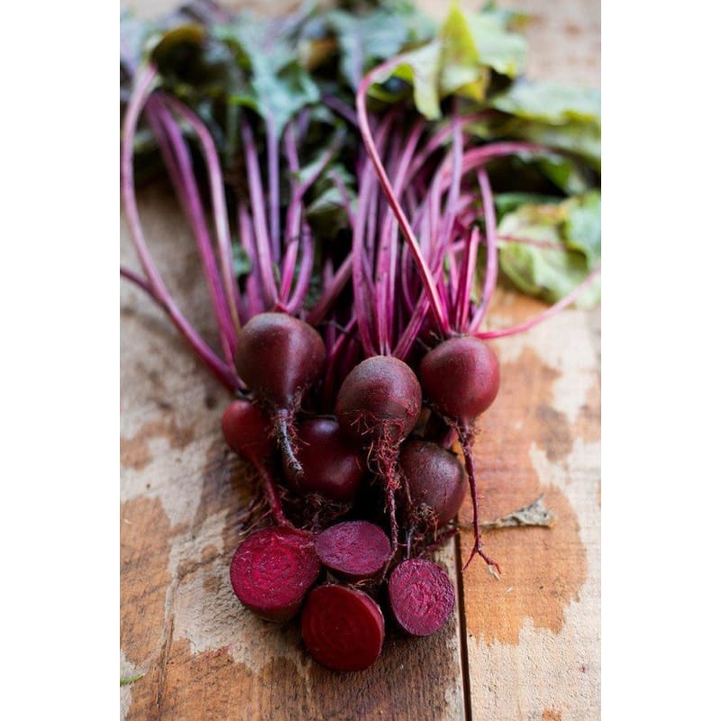 Early Wonder Tall Top Beet (Heirloom 50 Days) - Vegetables