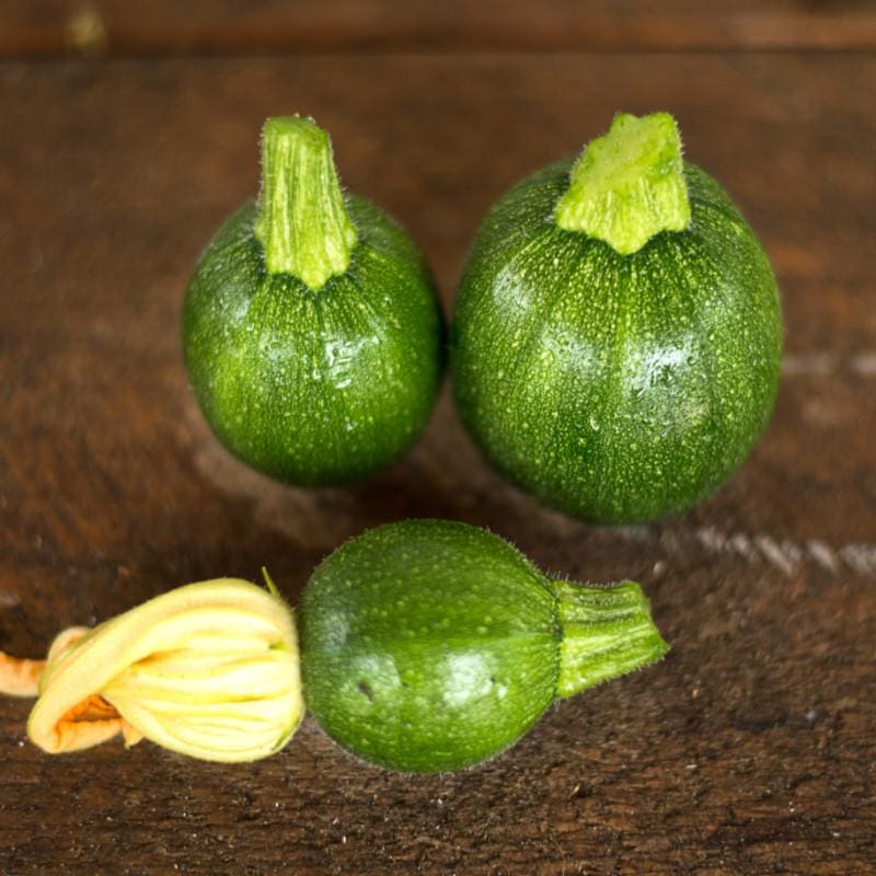 Eightball Zucchini Summer Squash (F1 Hybrid 35 Days) - Vegetables