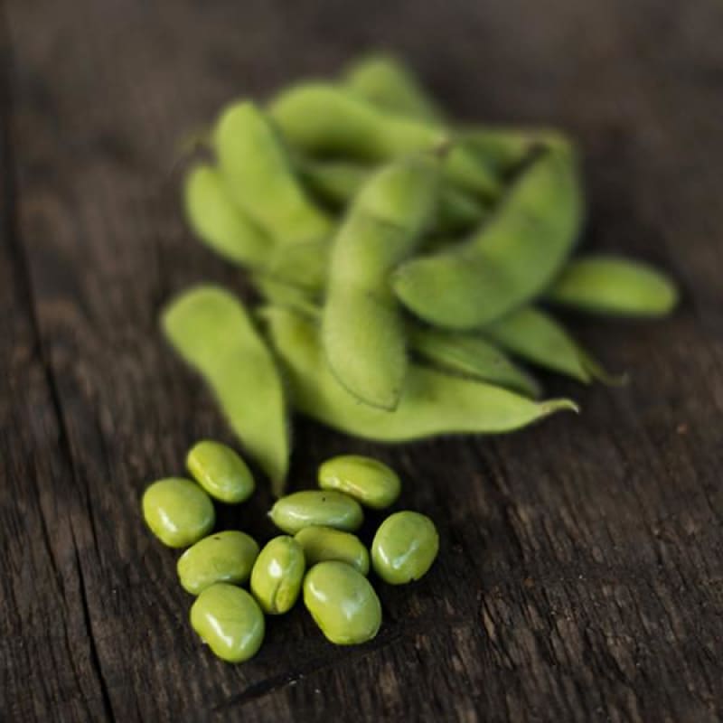 Envy Soybean (75 Days) – Pinetree Garden Seeds
