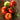 Grandeur Tomato (F1 Hybrid 75 Days) - Vegetables