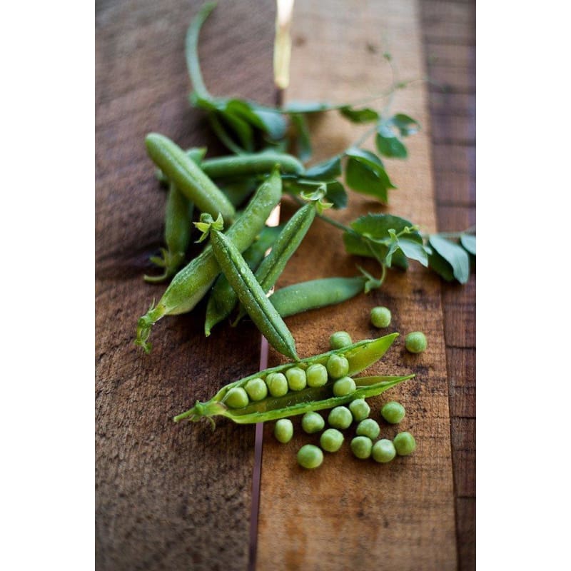 Green Arrow Pea (63 Days) - Vegetables
