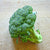 Green Magic Broccoli (F1 Hybrid 60 Days) - Vegetables