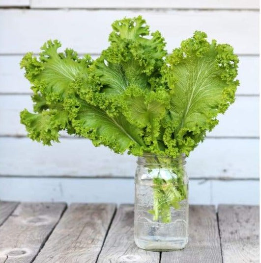 Green Wave Mustard (50 Days) - Vegetables