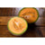 Hales Best Melon (Heirloom 75 Days) - Vegetables