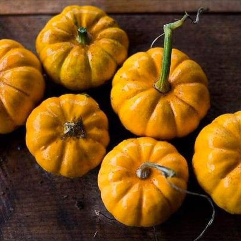 Jack Be Little Pumpkin (85 Days) - Vegetables