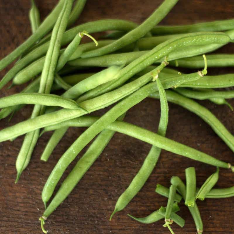 planting jade green beans Jade Bush Bean