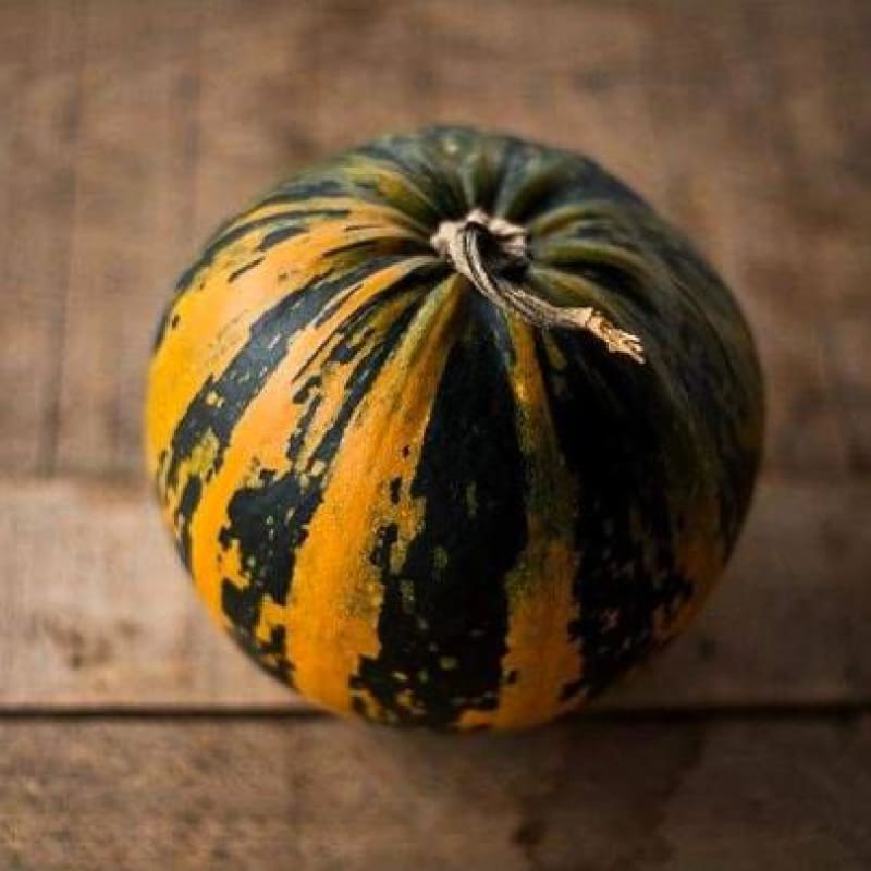 Kakai Hulless Pumpkin (Organic 100 Days) - Vegetables