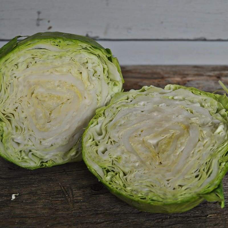 Katrina Cabbage (F1 Hybrid 45 Days) - Vegetables