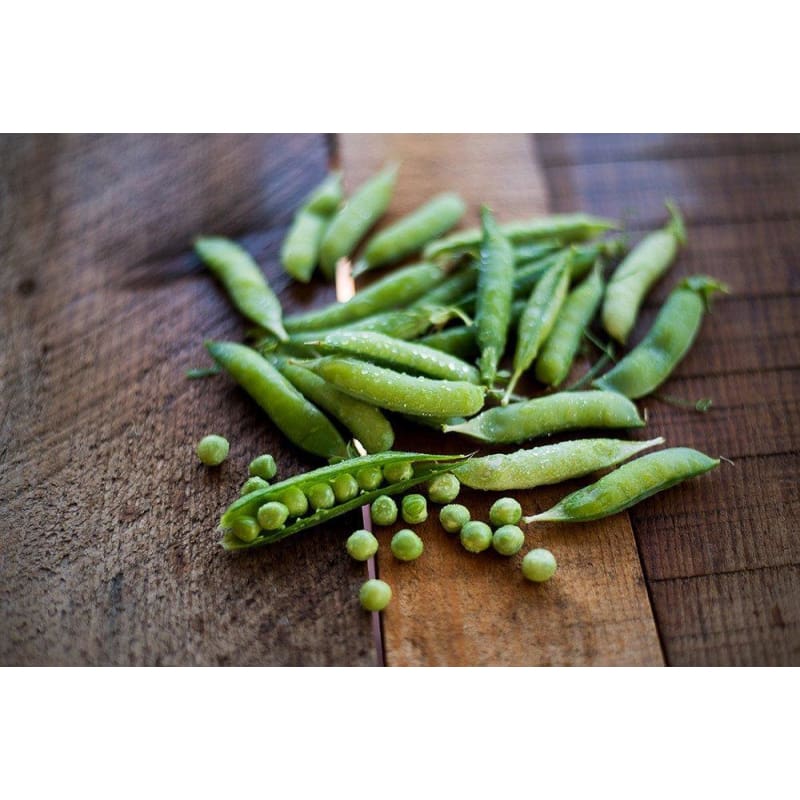 Knight Pea (56 Days) - Vegetables