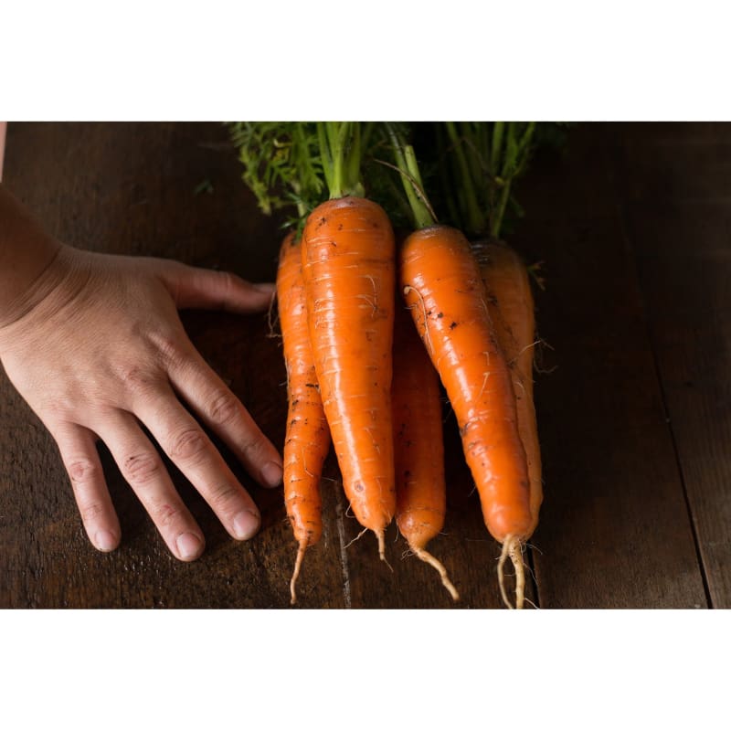 Kuroda Carrot (110 Days) - Vegetables
