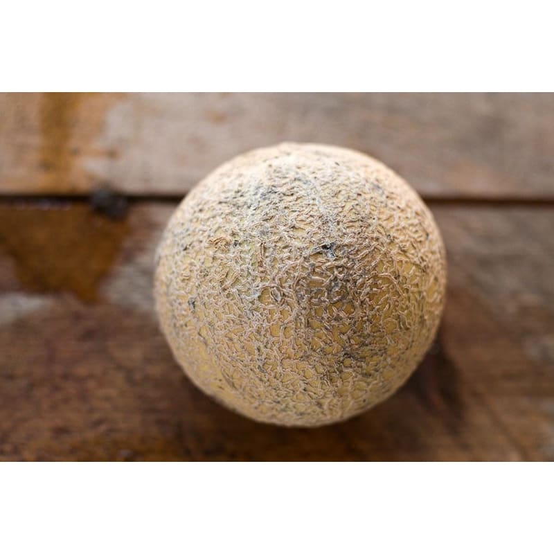 Lilliput Melon (F1 Hybrid 80 Days) - Vegetables