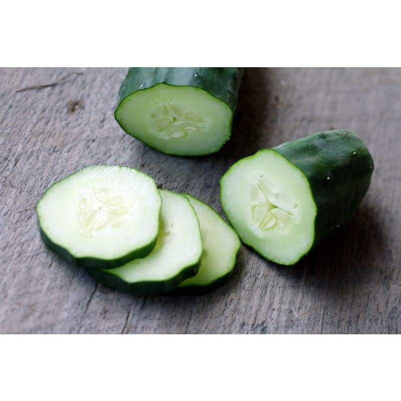 Marketmore Cucumber ( 60 Days) - Vegetables