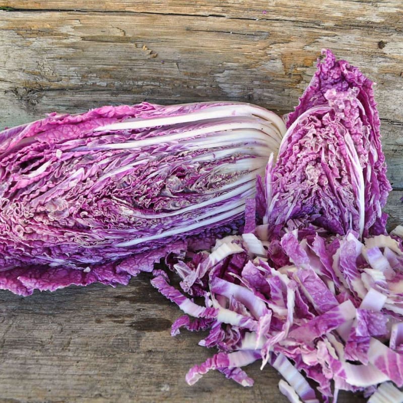 chinese cabbage succulent Merlot Chinese Cabbage (F1 Hybrid 60 Days)